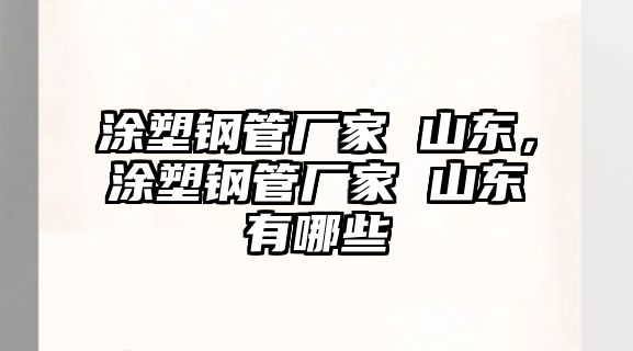 涂塑鋼管廠(chǎng)家 山東，涂塑鋼管廠(chǎng)家 山東有哪些