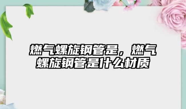 燃?xì)饴菪摴苁?，燃?xì)饴菪摴苁鞘裁床馁|(zhì)