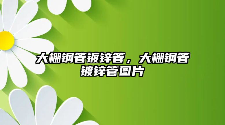 大棚鋼管鍍鋅管，大棚鋼管鍍鋅管圖片
